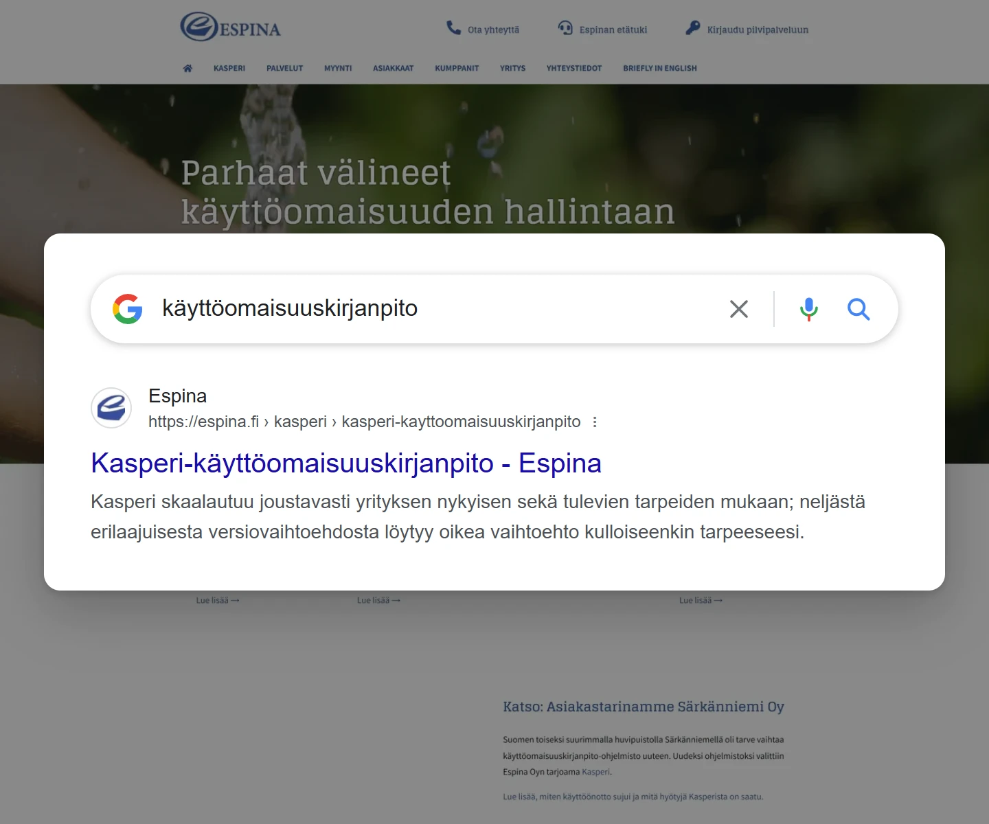 Google search result for “käyttöomaisuuskirjanpito”: espina.fi