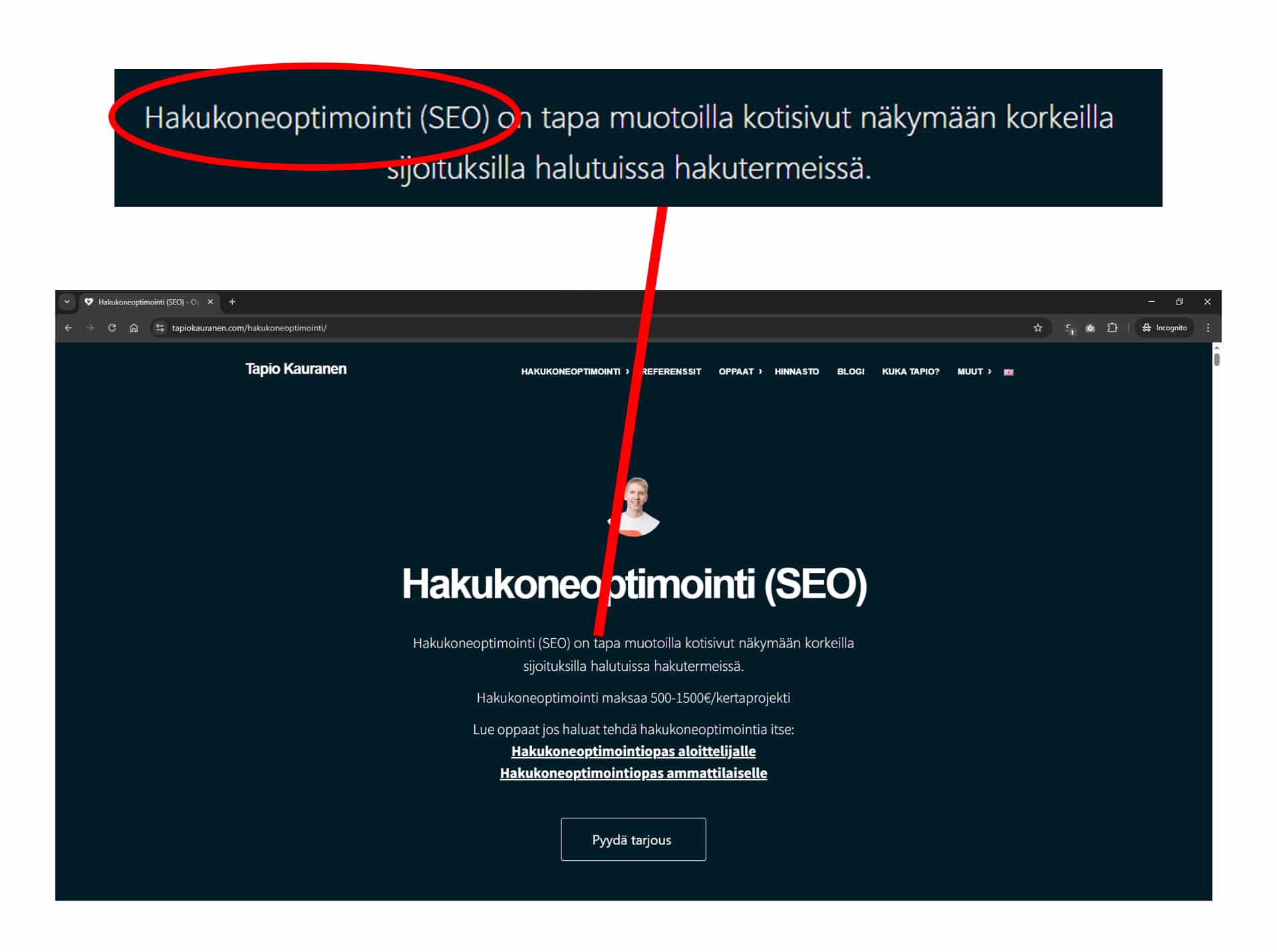 Hakutermi ”Hakukoneoptimointi (SEO)” ympyröitynä tapiokauranen.comin sivun ensimmäisen kappaleen alussa