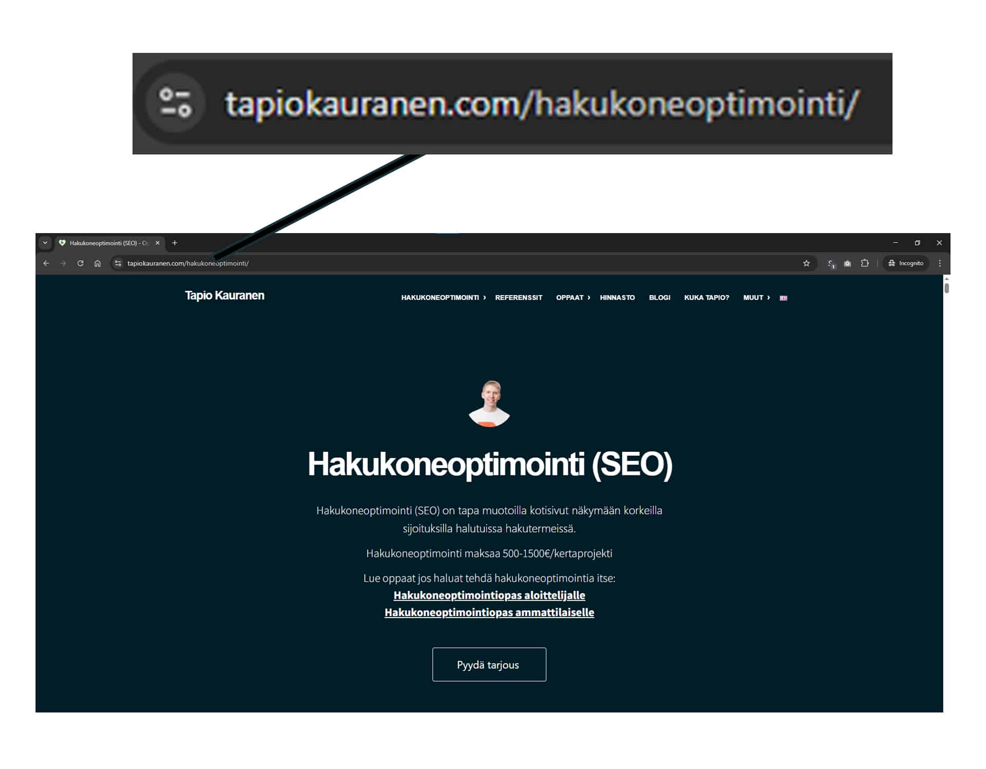 Selaimen osoiterivi suurennettuna: hakusana näkyy osoitteessa tapiokauranen.com/hakukoneoptimointi/