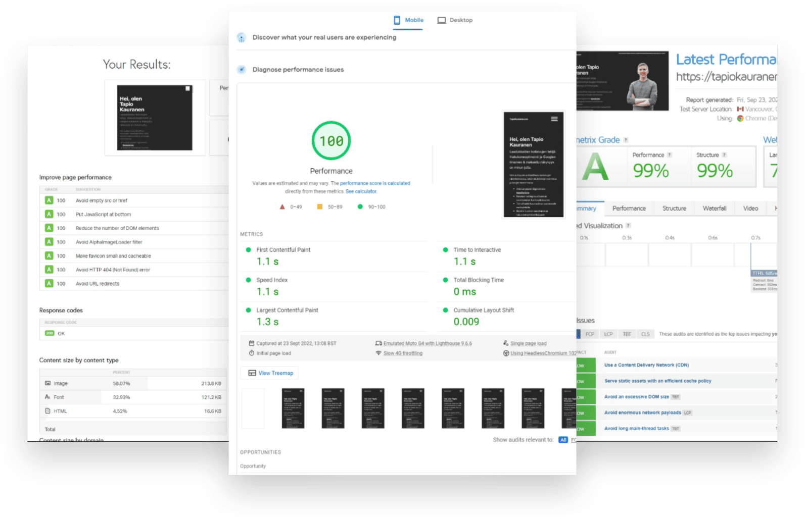 Speed tests of Tapio Kauranen's website: 100 points on mobile in PageSpeed Insights and grade A in GTmetrix