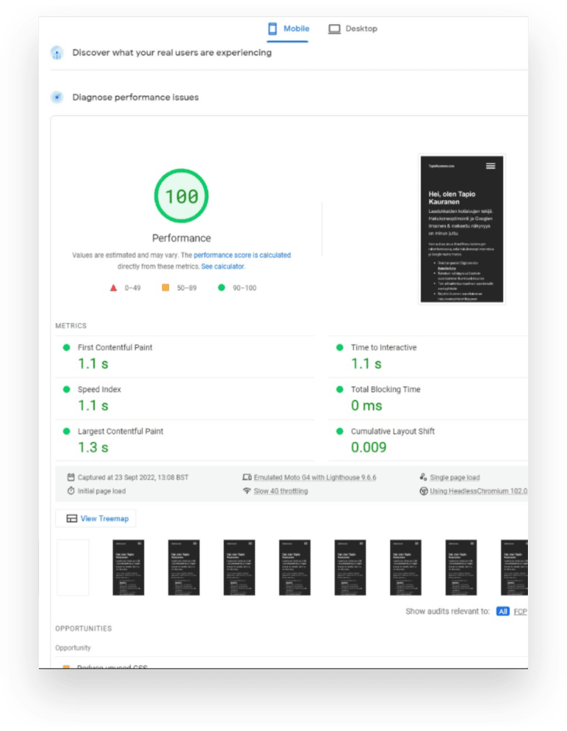 PageSpeed Insights, mobile: tapiokauranen.com's performance 100, LCP 1.3 s and CLS 0.009